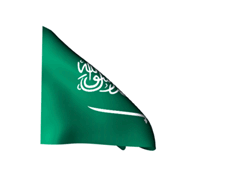 Visa Arabia Saudita